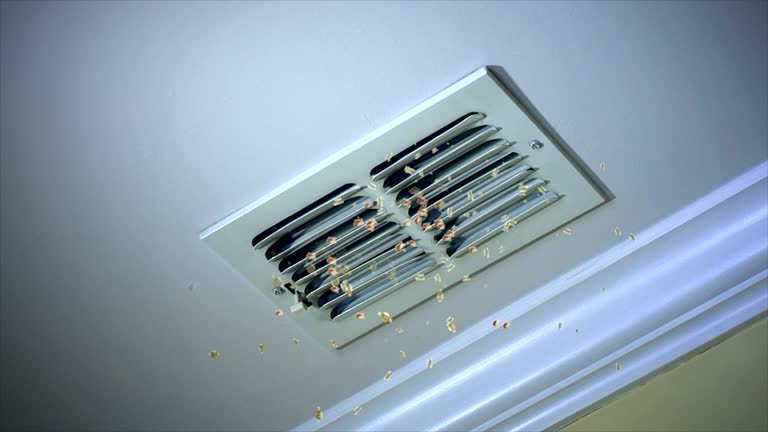 Best HVAC Duct Inspection Services  in Parkville, MO