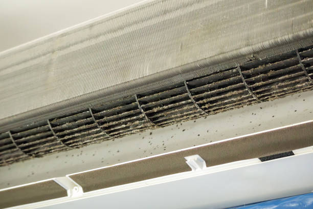 Best Affordable Air Duct Cleaning  in Parkville, MO