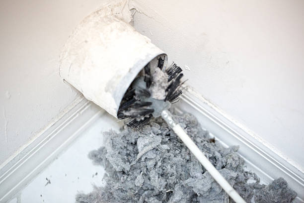 Best Local Air Duct Cleaning Services  in Parkville, MO